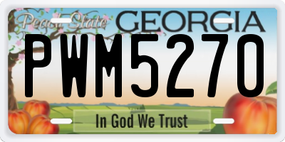 GA license plate PWM5270