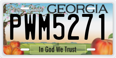 GA license plate PWM5271