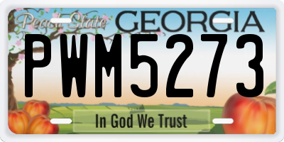 GA license plate PWM5273