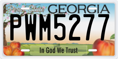 GA license plate PWM5277