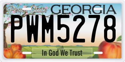 GA license plate PWM5278