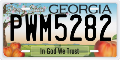 GA license plate PWM5282
