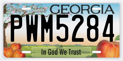 GA license plate PWM5284