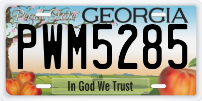GA license plate PWM5285