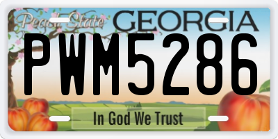 GA license plate PWM5286