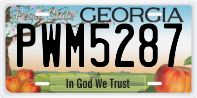 GA license plate PWM5287