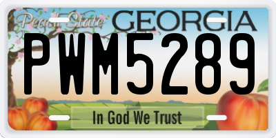 GA license plate PWM5289