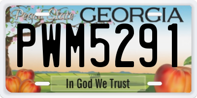 GA license plate PWM5291