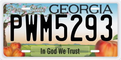GA license plate PWM5293