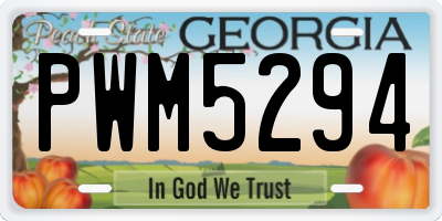 GA license plate PWM5294