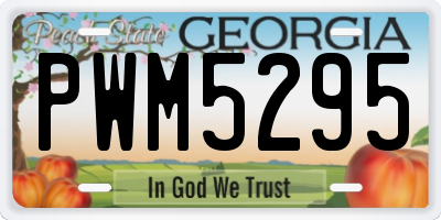 GA license plate PWM5295