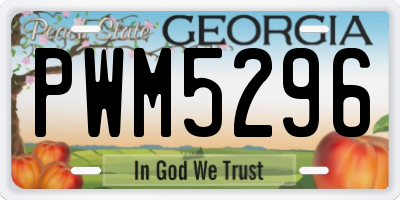 GA license plate PWM5296