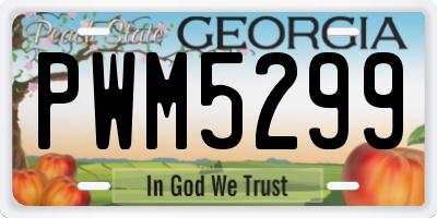 GA license plate PWM5299