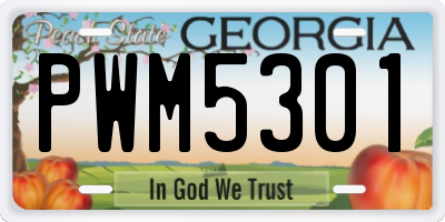 GA license plate PWM5301