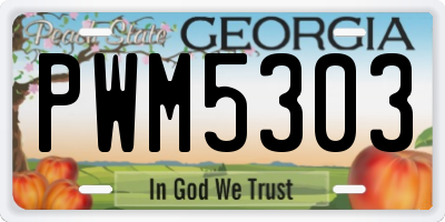 GA license plate PWM5303