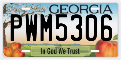 GA license plate PWM5306