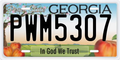 GA license plate PWM5307