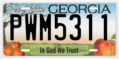 GA license plate PWM5311
