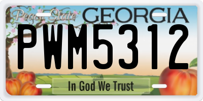 GA license plate PWM5312