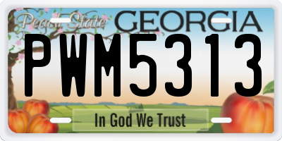GA license plate PWM5313