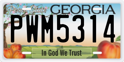 GA license plate PWM5314