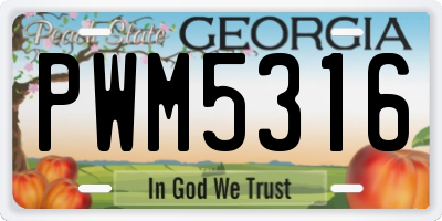 GA license plate PWM5316