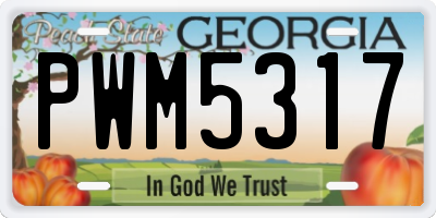 GA license plate PWM5317