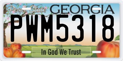 GA license plate PWM5318