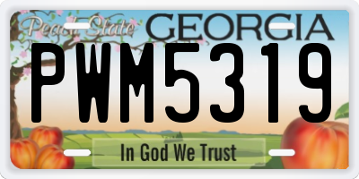 GA license plate PWM5319