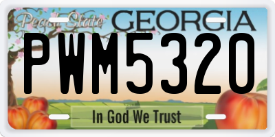 GA license plate PWM5320