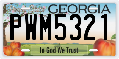 GA license plate PWM5321