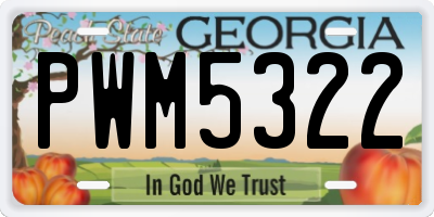 GA license plate PWM5322