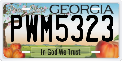 GA license plate PWM5323