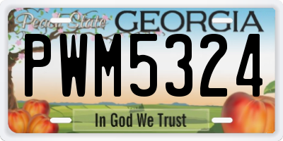 GA license plate PWM5324