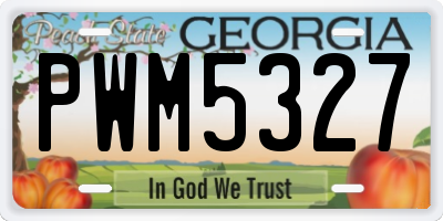 GA license plate PWM5327