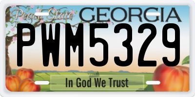 GA license plate PWM5329