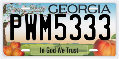 GA license plate PWM5333