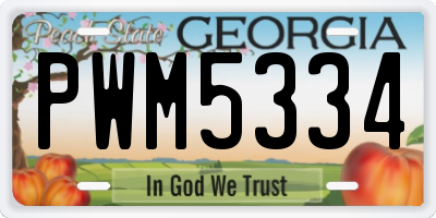 GA license plate PWM5334