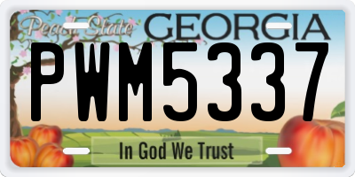 GA license plate PWM5337