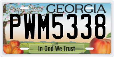 GA license plate PWM5338