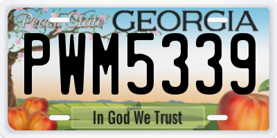 GA license plate PWM5339