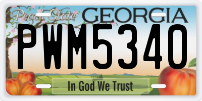 GA license plate PWM5340