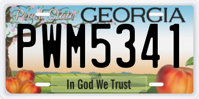 GA license plate PWM5341