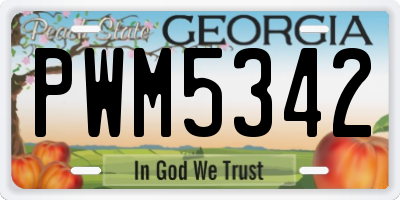 GA license plate PWM5342