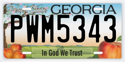GA license plate PWM5343