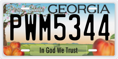 GA license plate PWM5344