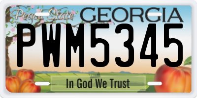 GA license plate PWM5345