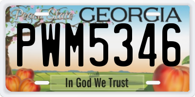 GA license plate PWM5346
