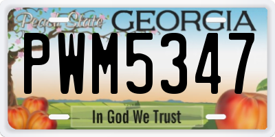 GA license plate PWM5347