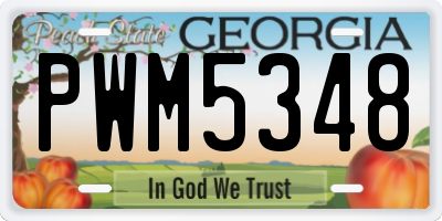 GA license plate PWM5348
